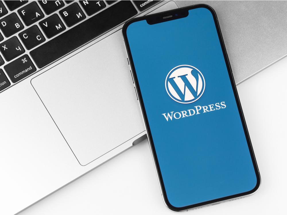 What makes WordPress such a good choice of content management system for your site?